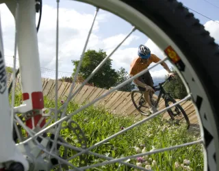 VTT