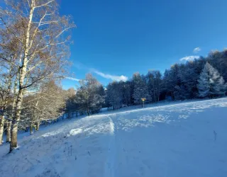 Chemin de Pravendu
