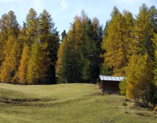 Plateau de Plan Bois