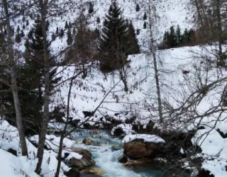 Itinéraire hiver Chardes