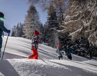 Itinéraire raquette :  Le Bois des Fornettes