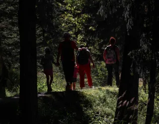 Itinéraire Bois des Fornettes