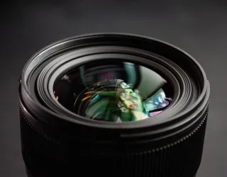 Sortie encadrée : initiation à la photo nature