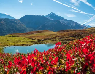 Le Lac du Carroley