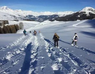Balades et randonnées en raquettes_Plagne-Montalbert