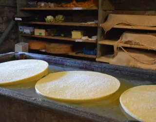 Les Mercredis de Granier : Animation nature en famille_Aime-la-Plagne