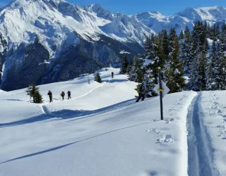 Sortie / Initiation en ski de randonnée