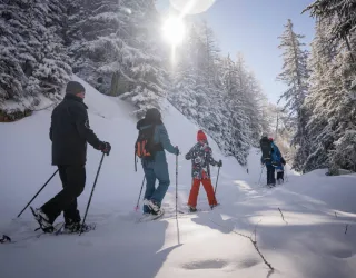 Plan Bois sous les étoiles !_Montchavin-les-Coches
