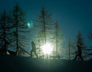 La soirée du musher !_Montchavin-les-Coches