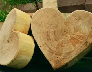 Atelier "Sculpture sur bois"_Montchavin-les-Coches