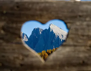 Film |  La nature nous parle_La Plagne Tarentaise