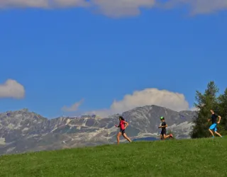 Trail