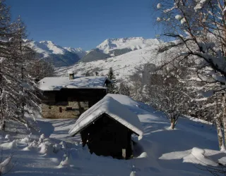Itinéraire raquette "Montchavin-Les Coches par Praz Salvard"