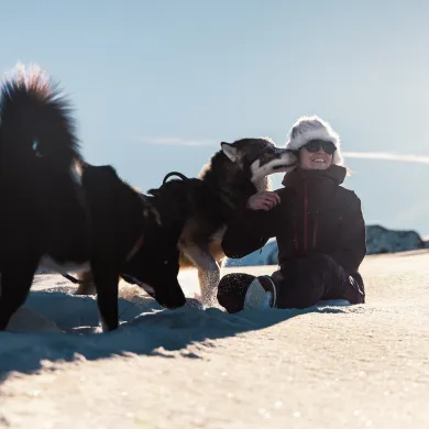 Balade en chien de traineau