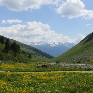 La Plagne, Foran