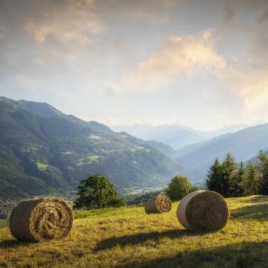 La Plagne Vallée  en été