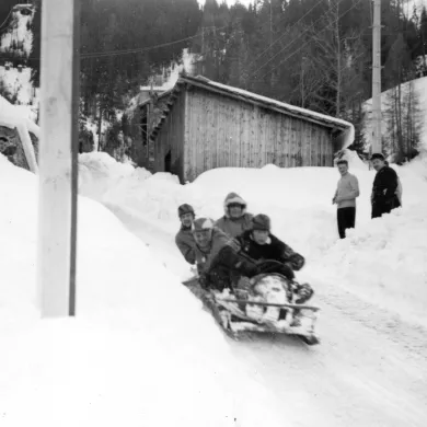 Descente en bob
