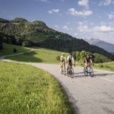 Velo_de_route-Shu_Tristan