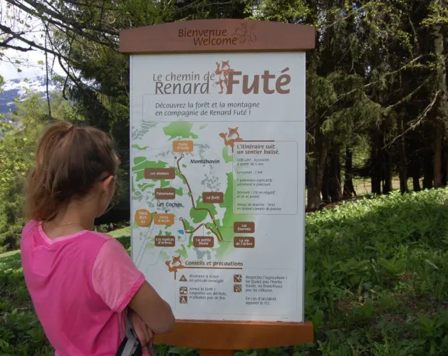Le chemin du renard futé