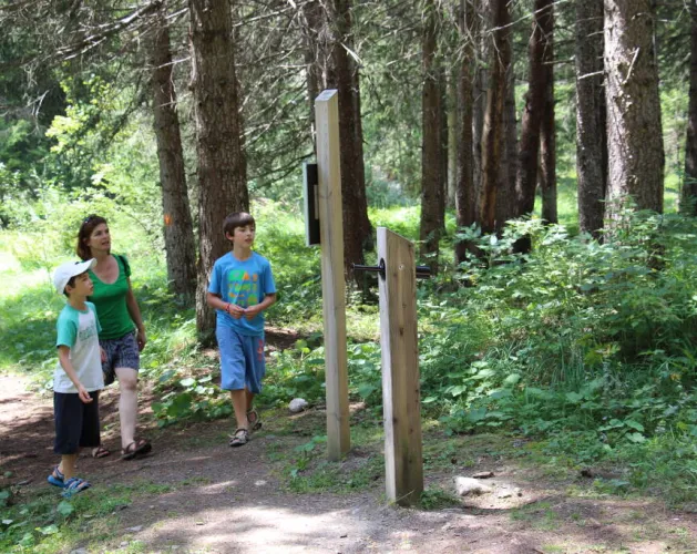 Sentier de l'explorateur en herbe