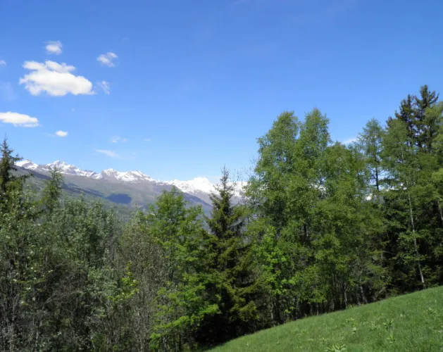 Le Chemin de la Pierra