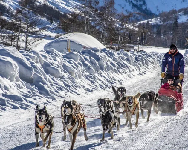 Baptême - balade en traîneau à chiens