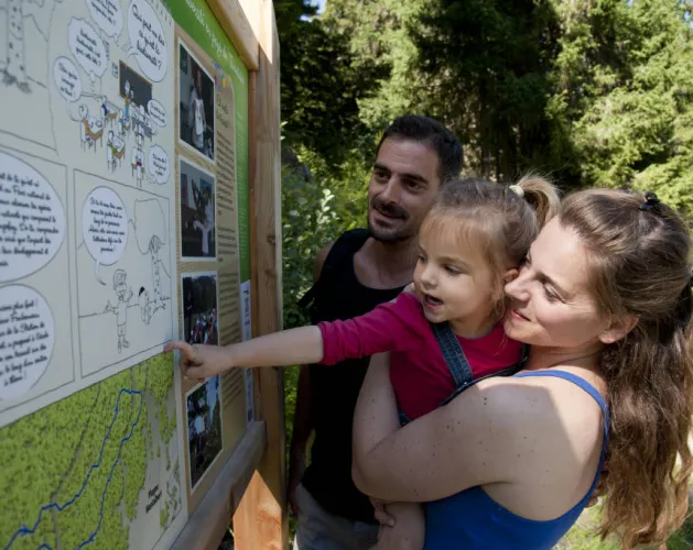 Biodiversité été