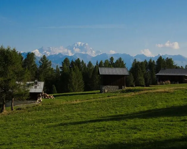 Plateau de Plan Bois