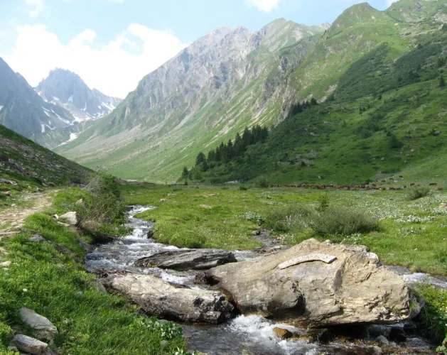 Vallon de foran la vallée de la Plagne