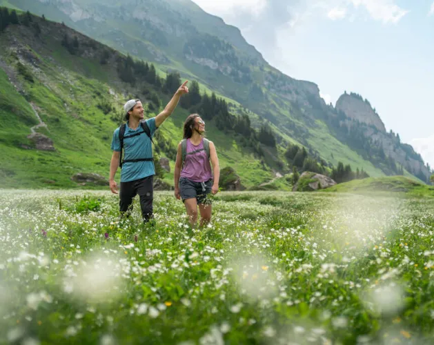 Itinéraire de randonnée pédestre : Sentier du Plateau de Plan Pichu_Aime-la-Plagne