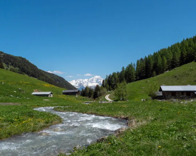 La Vallée des Bauches
