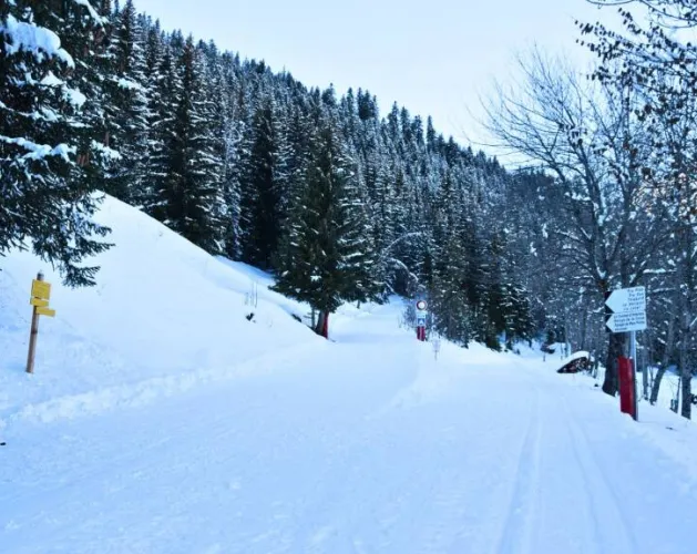 Itinéraires nordiques de Prachanié_Aime-la-Plagne
