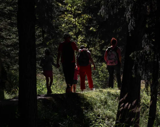 Itinéraire Bois des Fornettes