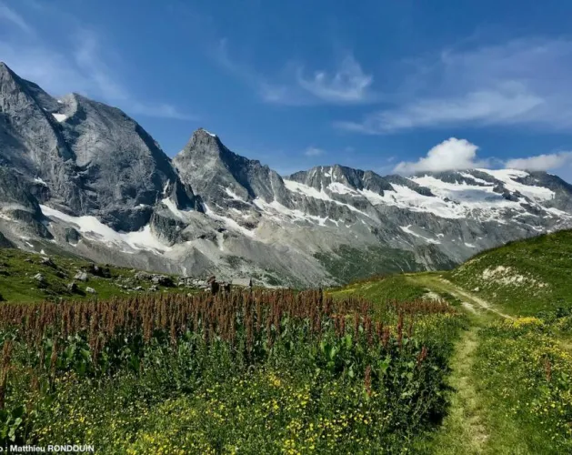 Matthieu RONDOUIN - Accompagnateur en montagne