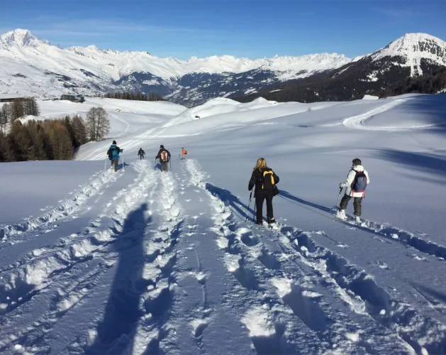 Balades et randonnées en raquettes_Plagne-Montalbert