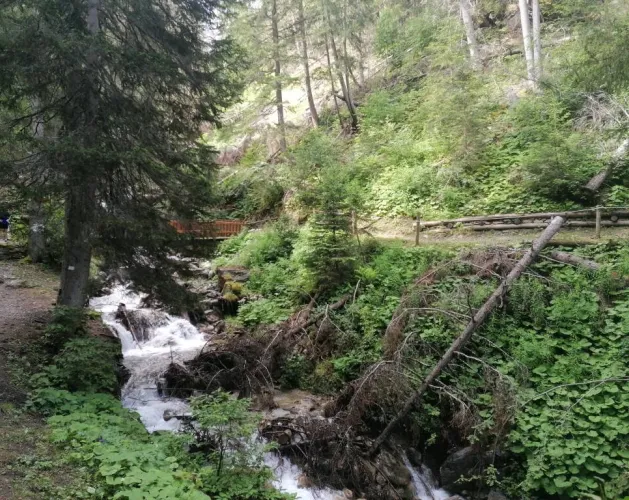 Chemin direction La Roche