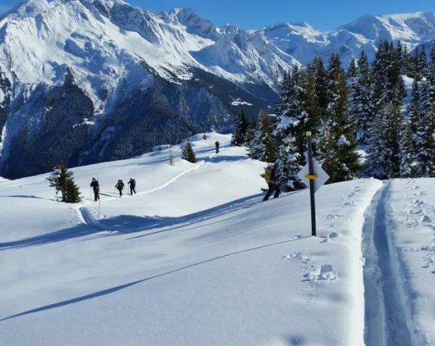 Sortie / Initiation en ski de randonnée