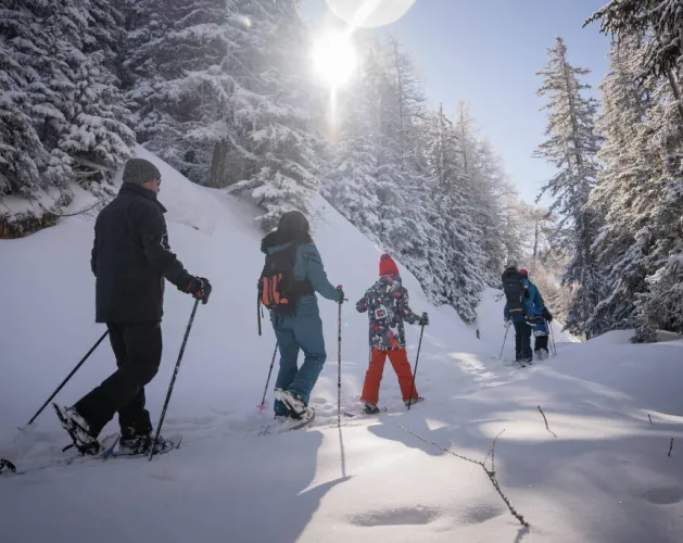 Plan Bois sous les étoiles !_Montchavin-les-Coches
