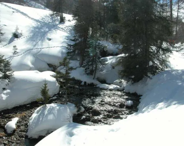 Sentier le Bief Bovet