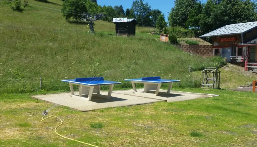 Table de ping pong