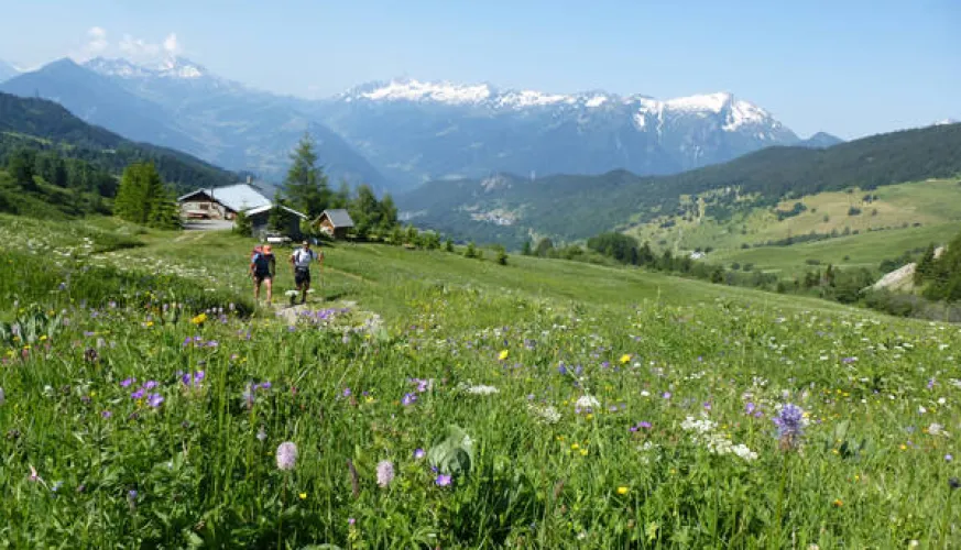 Grand Tour de Tarentaise - Rando pédestre 27 jours