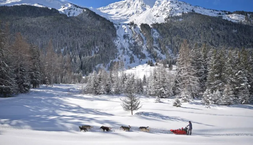 Génération Musher - Traîneau à chiens