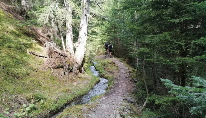 Sentier du Grand Bief