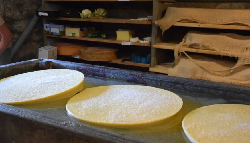 Les Mercredis de Granier : Animation nature en famille_Aime-la-Plagne