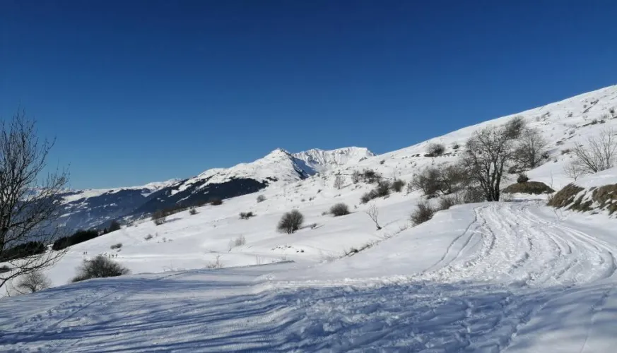 Balade à raquettes - Boucle des Fours_La Plagne Tarentaise