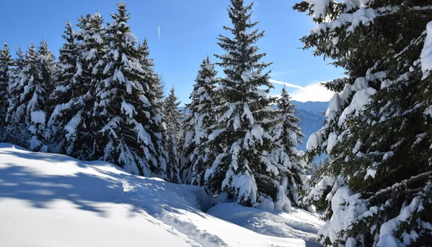 Balade à raquettes - Boucle des crêtes_La Plagne Tarentaise
