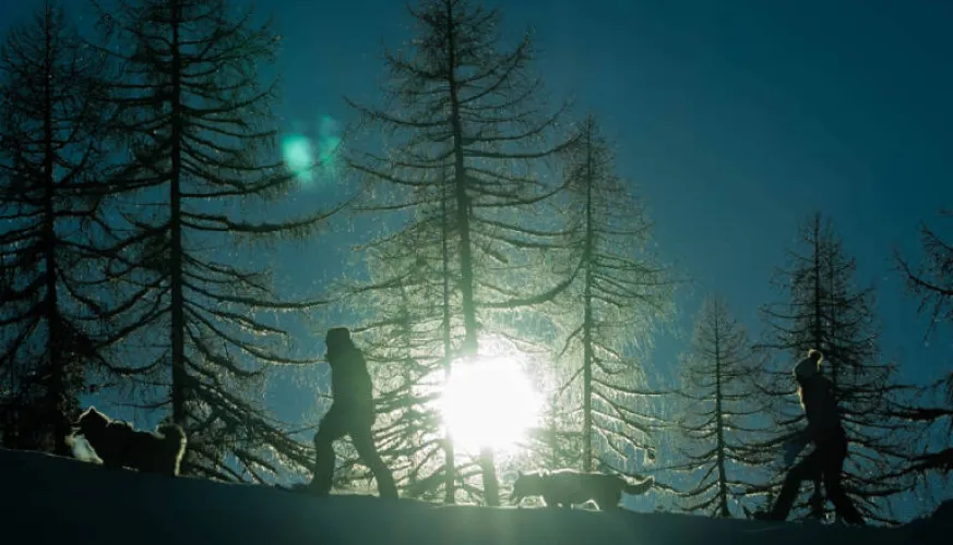 La soirée du musher !_Montchavin-les-Coches