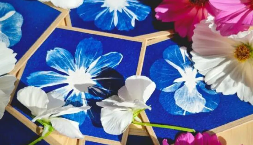 Cours de cyanotype_Aime-la-Plagne