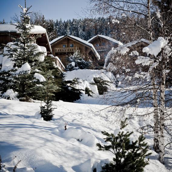 Les chalets enneigés aux Coches