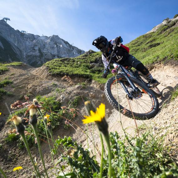 VTT descente à La Plagne